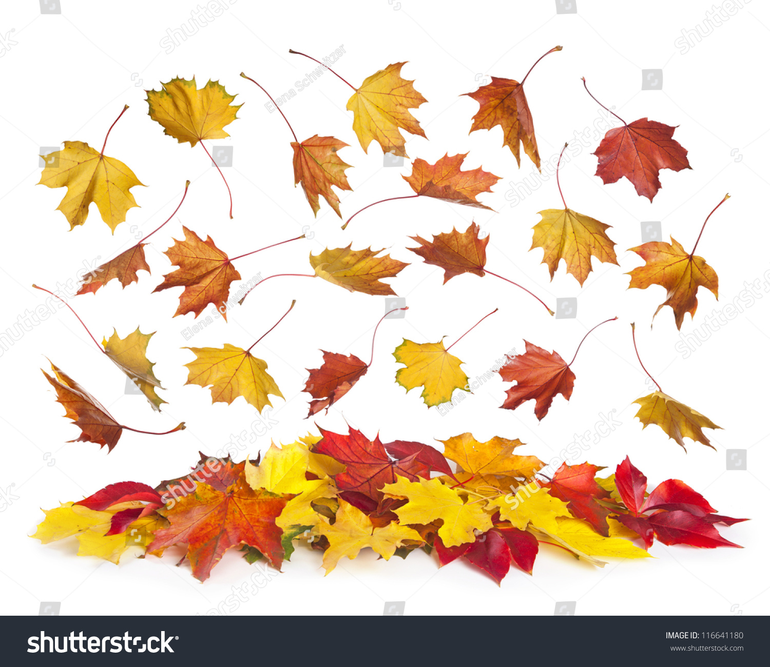 PowerPoint Template: autumn falling leaves isolated (iinnliiph)