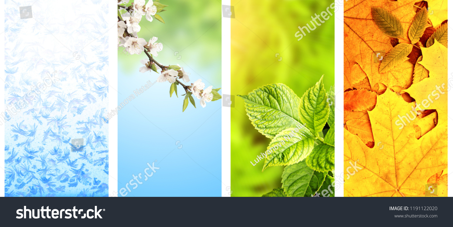 powerpoint-template-vertical-four-seasons-of-year-iiuiijjhjh