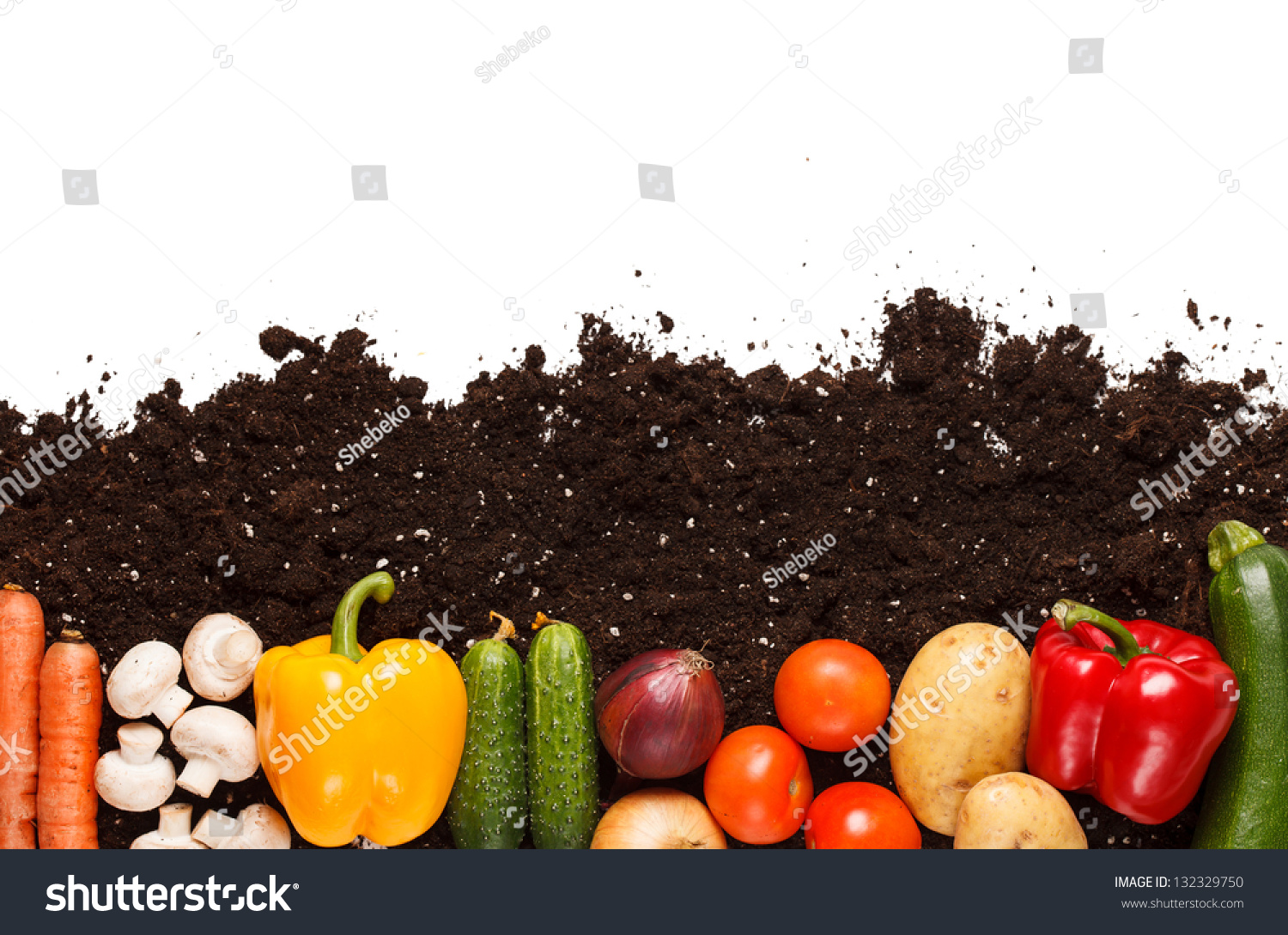powerpoint-template-vegetable-garden-vegetables-on-the-ikjkjuomh