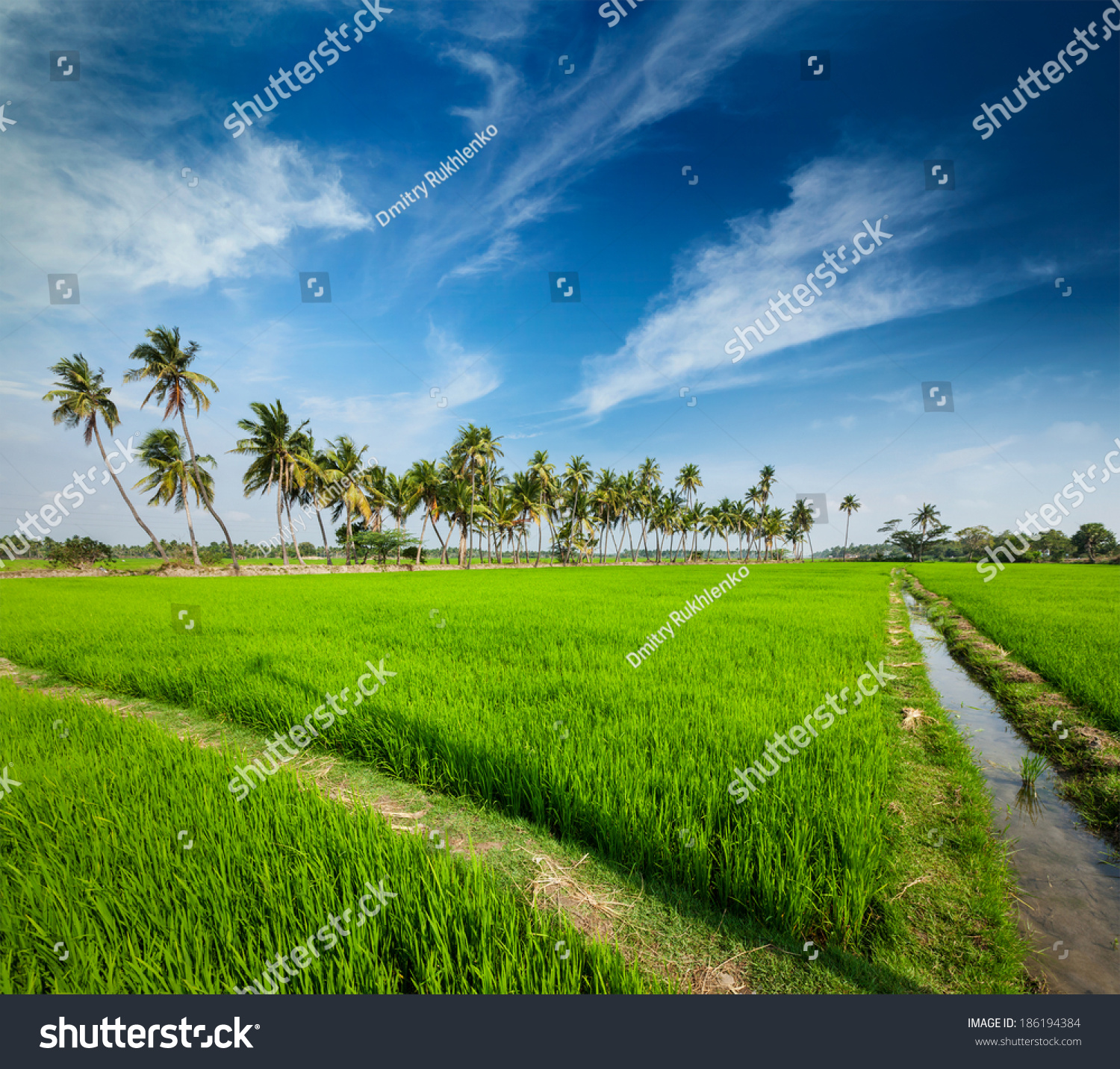 PowerPoint Template: tamil rural indian scene - (ipniulkpl)