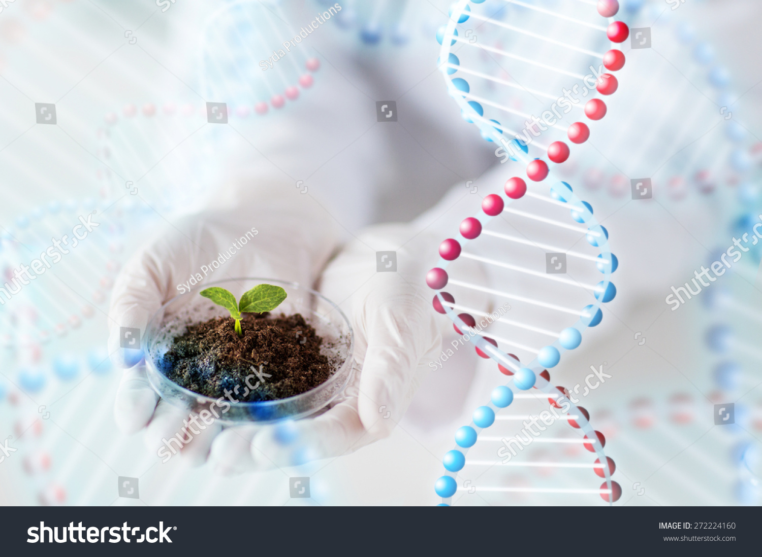 powerpoint-template-plant-biotechnology-dna-genetic-jojjjlinh