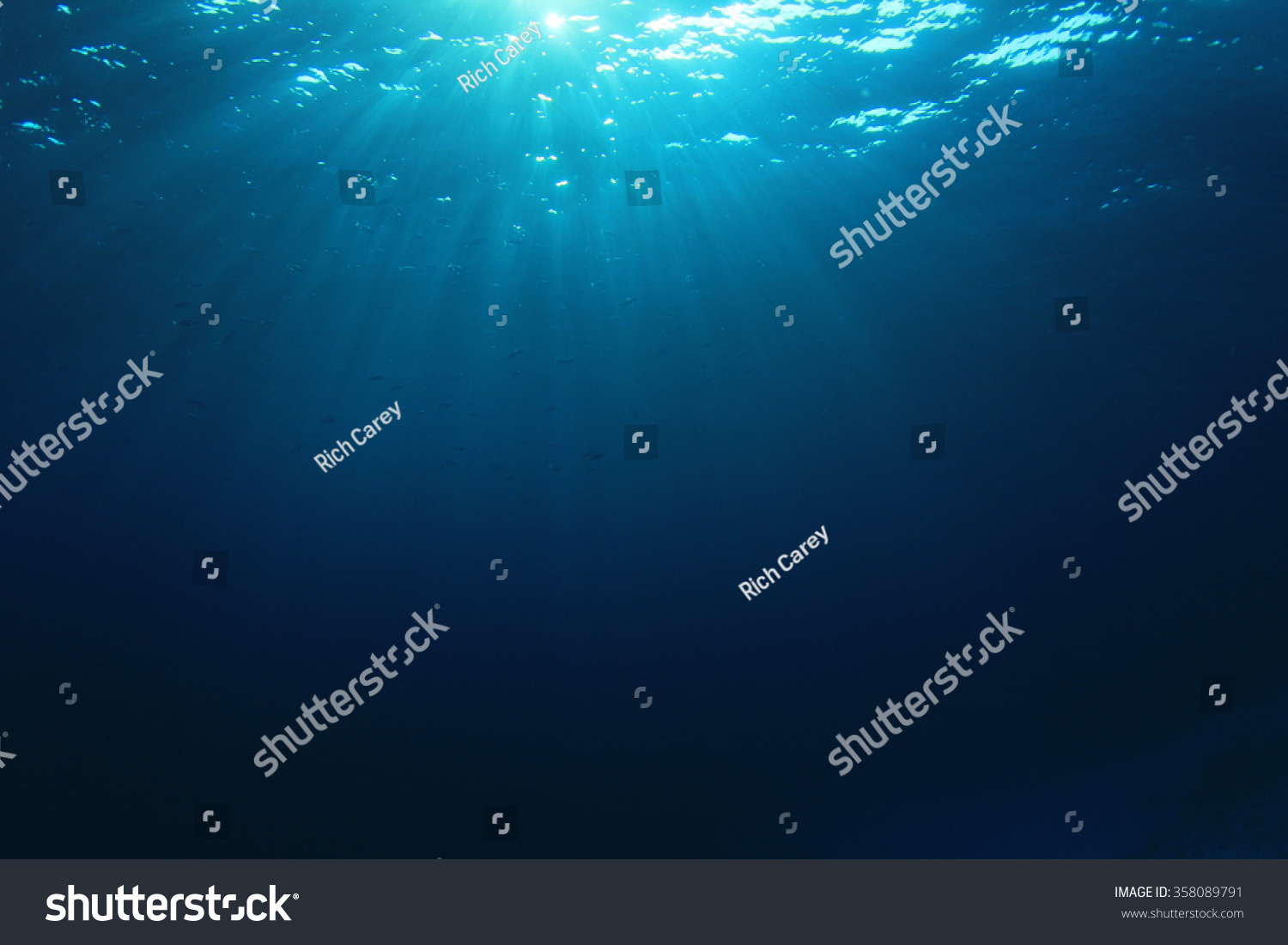 microsoft powerpoint themes free download deep sea