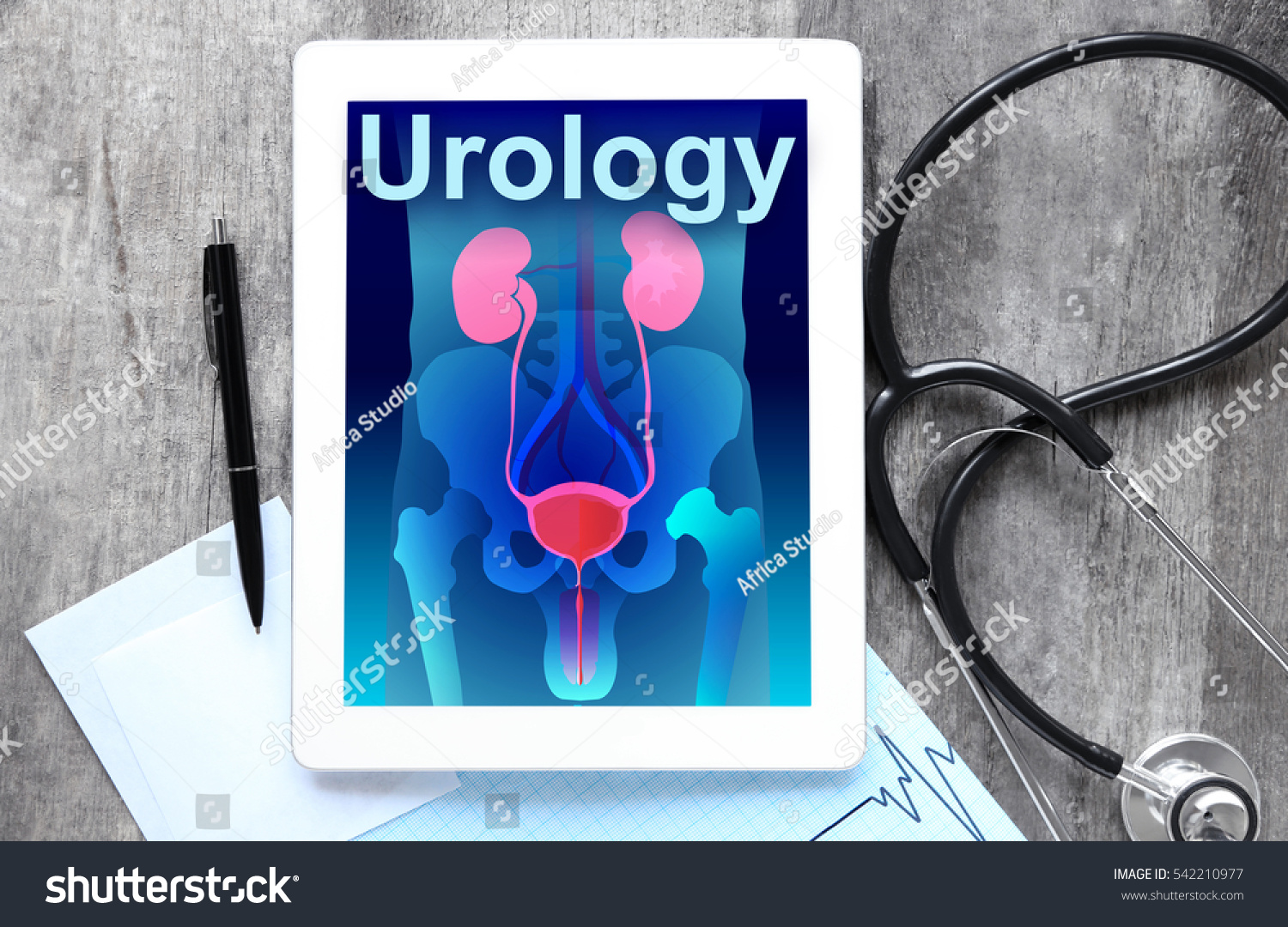powerpoint-template-urology-anatomy-tablet-and-mljjihuoo