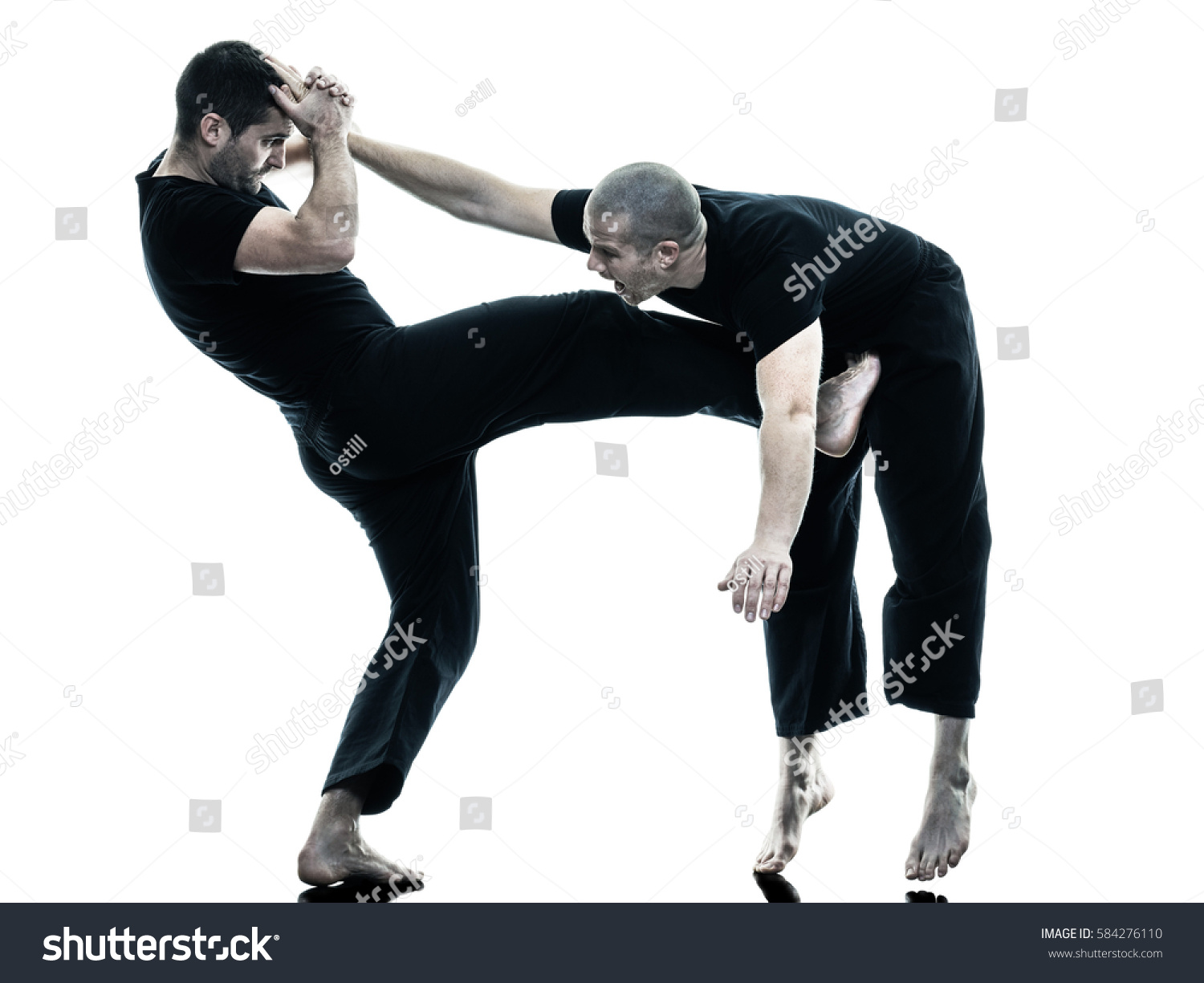 PowerPoint Template: self defense agressivity - two (mpljoniih)