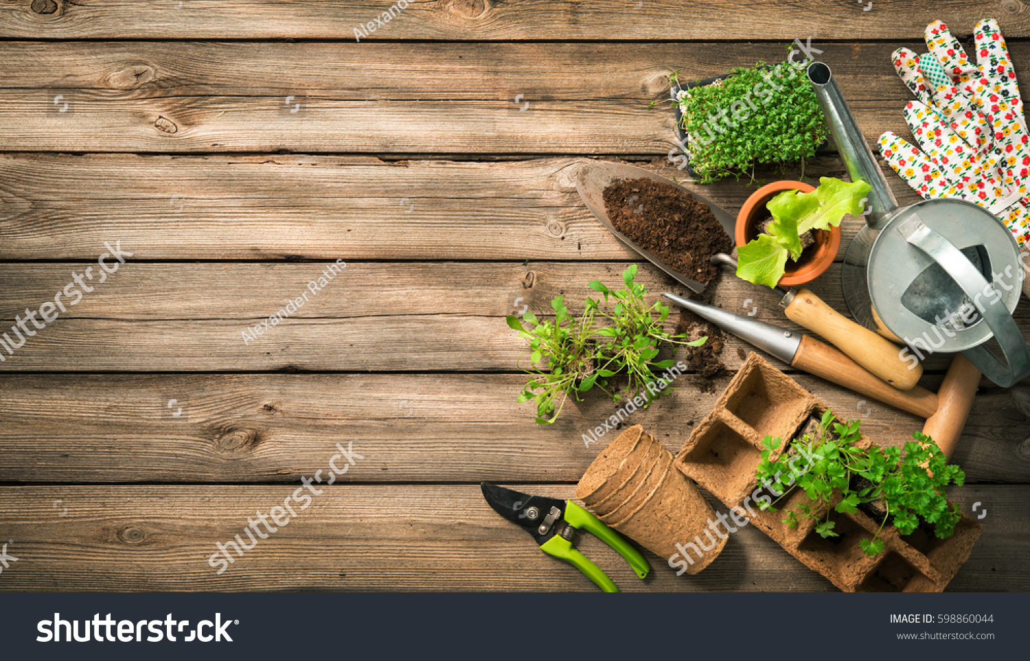 PowerPoint Template Seedling Vegetable Garden Environment muppnhhll 