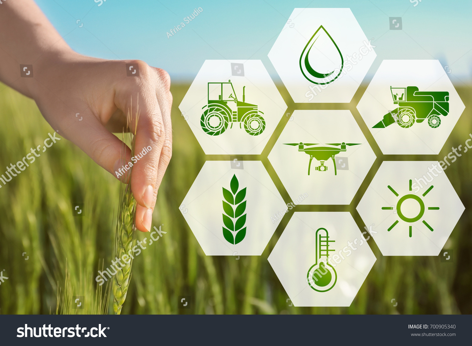 powerpoint presentation on agriculture and technology