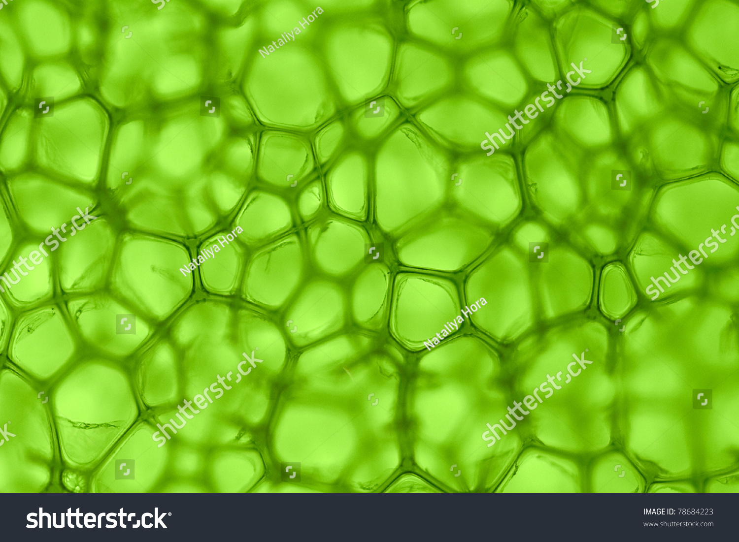 PowerPoint Template: mikrobiologi science - cell green (opnpljjk)