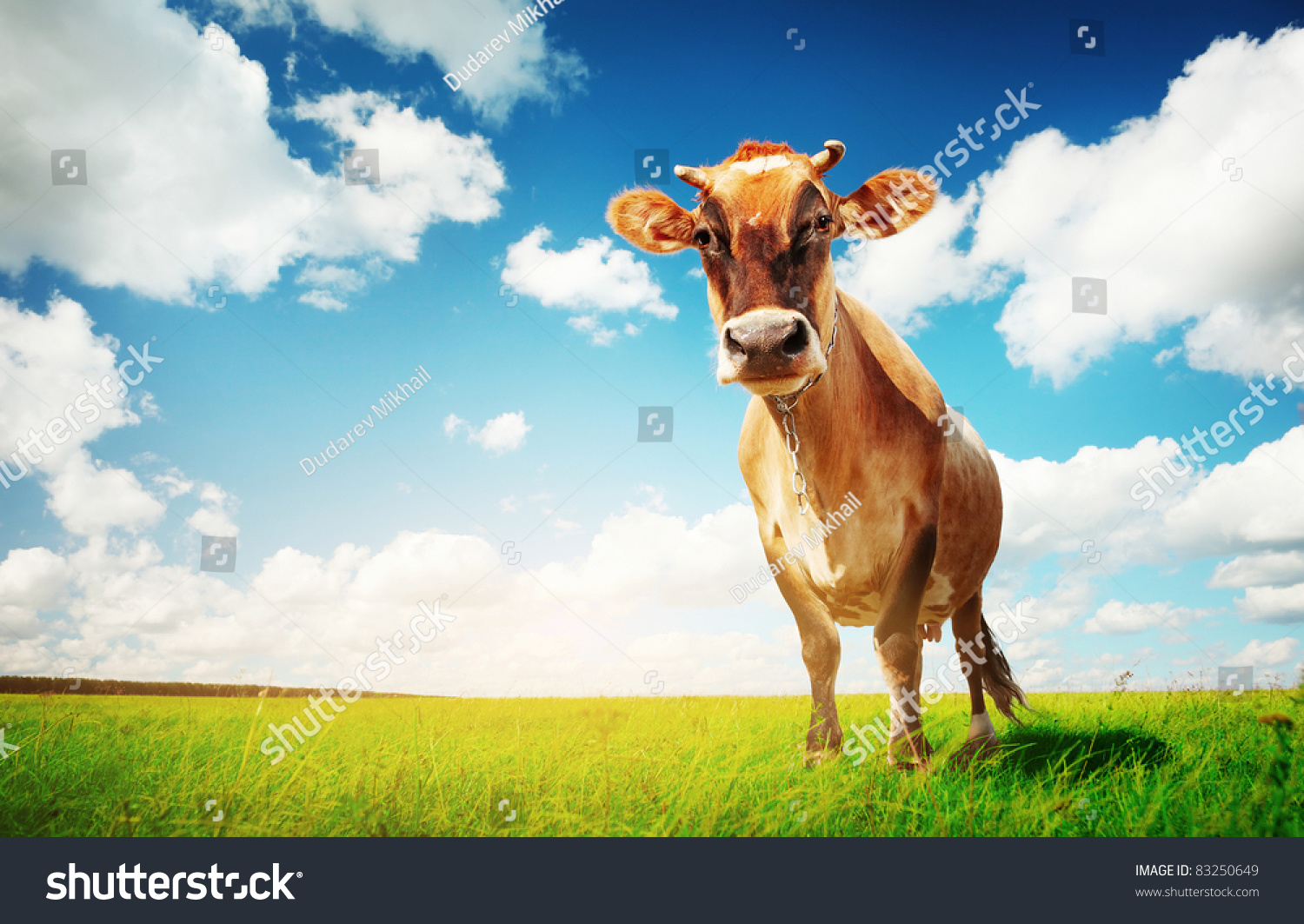 PowerPoint Template cow on green grass (pkjmhnlu)